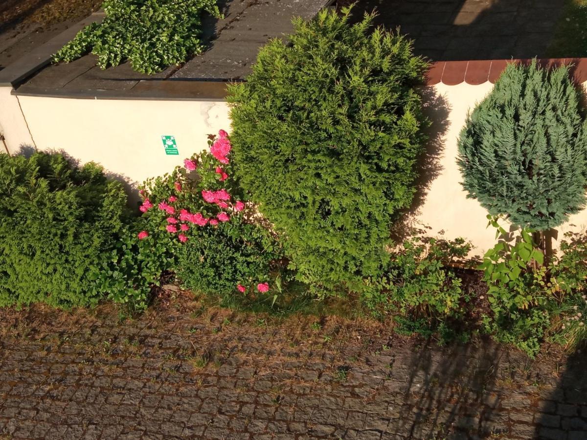 Iwona Hostel - Budget Rooms With Private Bathrooms Sopot Exterior foto
