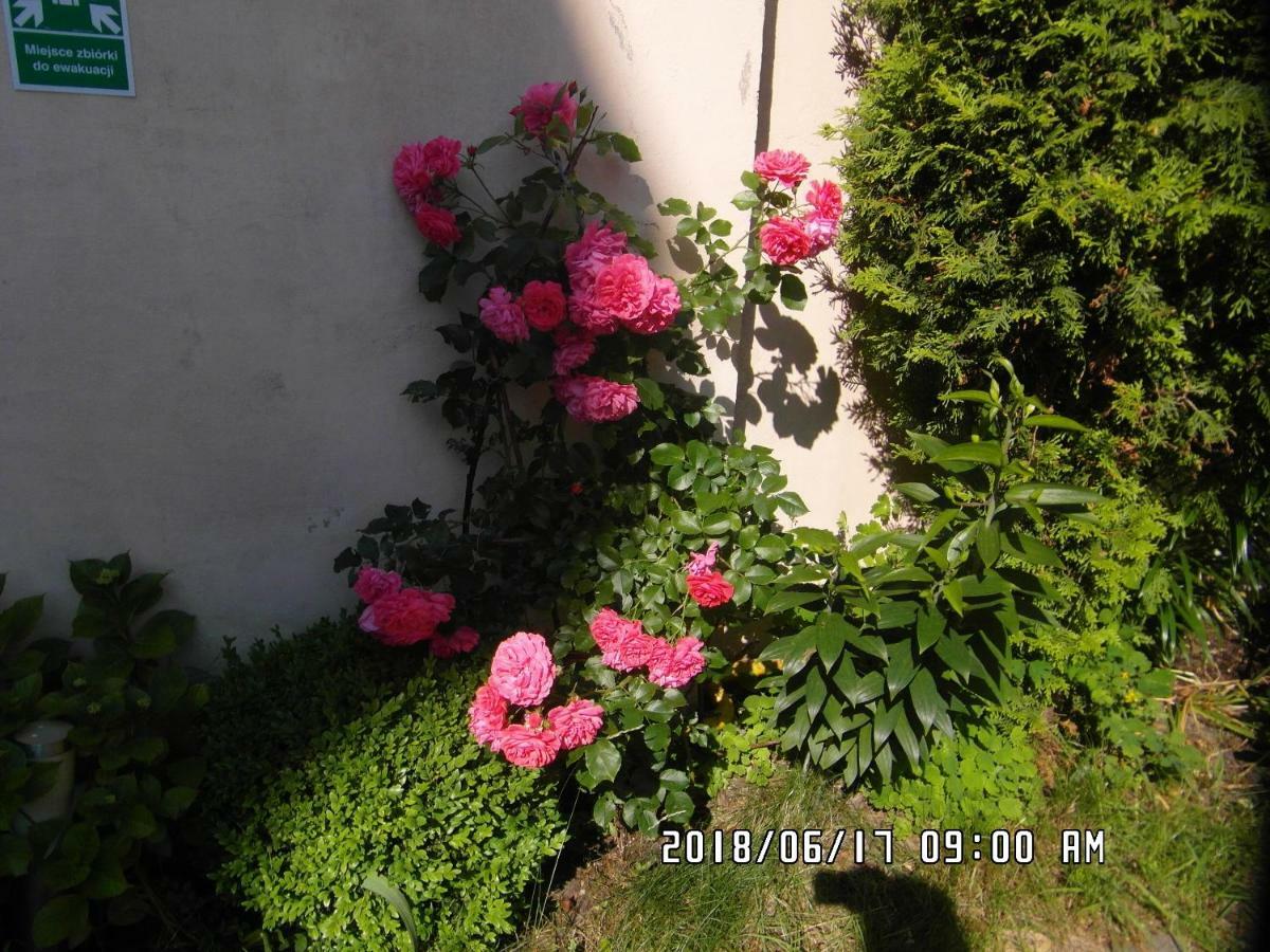 Iwona Hostel - Budget Rooms With Private Bathrooms Sopot Exterior foto